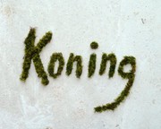 signature in moss